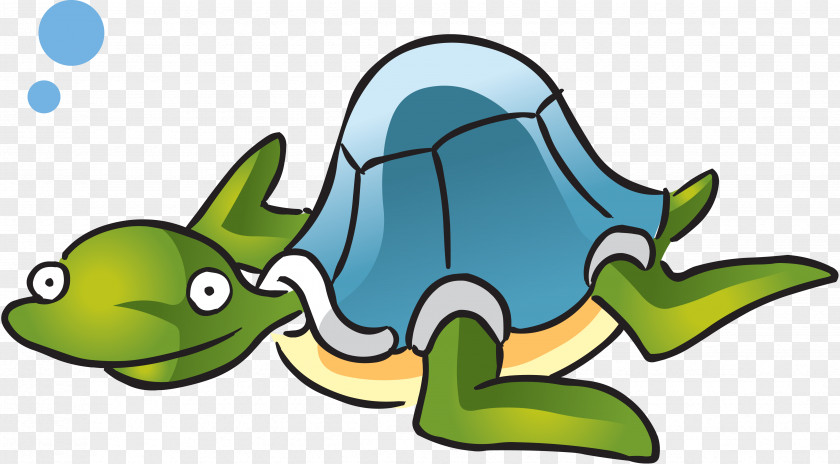 Turtle Animation Marine Life Cartoon Clip Art PNG