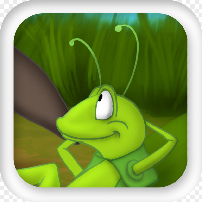 Ant And The Grasshopper Fairy Tale Tree Frog Book PNG