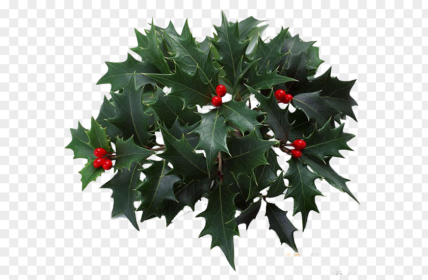 Christmas PNG