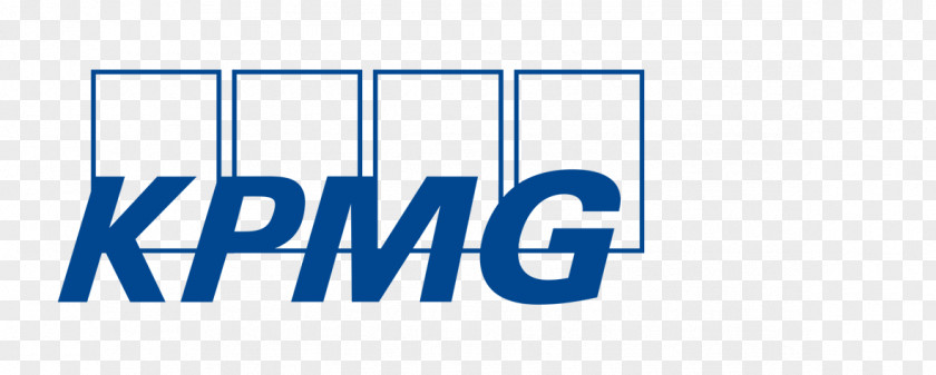 Citi Logo KPMG Organization Management ZetVisions AG PNG