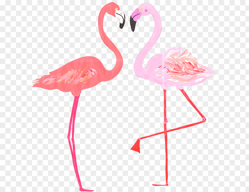 Flamingo Babb Photo PNG
