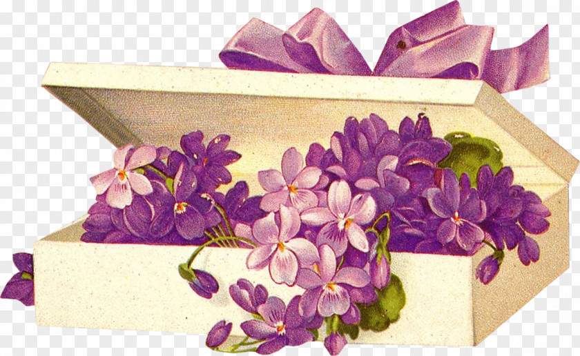 Flower Post Cards Paper France Clip Art PNG