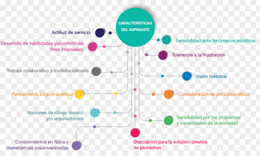 Infographic Design Organization Business Administration Licentiate Administració I Direcció D'empreses Management PNG