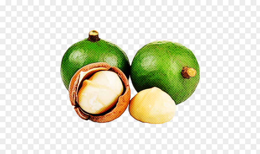 Ingredient Fruit Macadamia Nut Food Plant Purple Mangosteen PNG