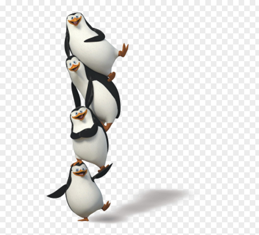 Madagascar Penguins Penguin Film Animation PNG