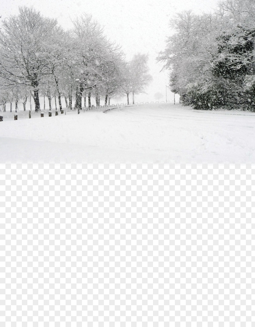 Snow Free Matting Material Stock.xchng Stock Photography Winter PNG