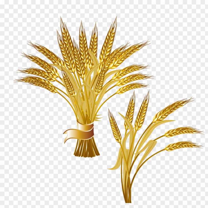 Bunch Of Golden Wheat Common Ear Logo Clip Art PNG