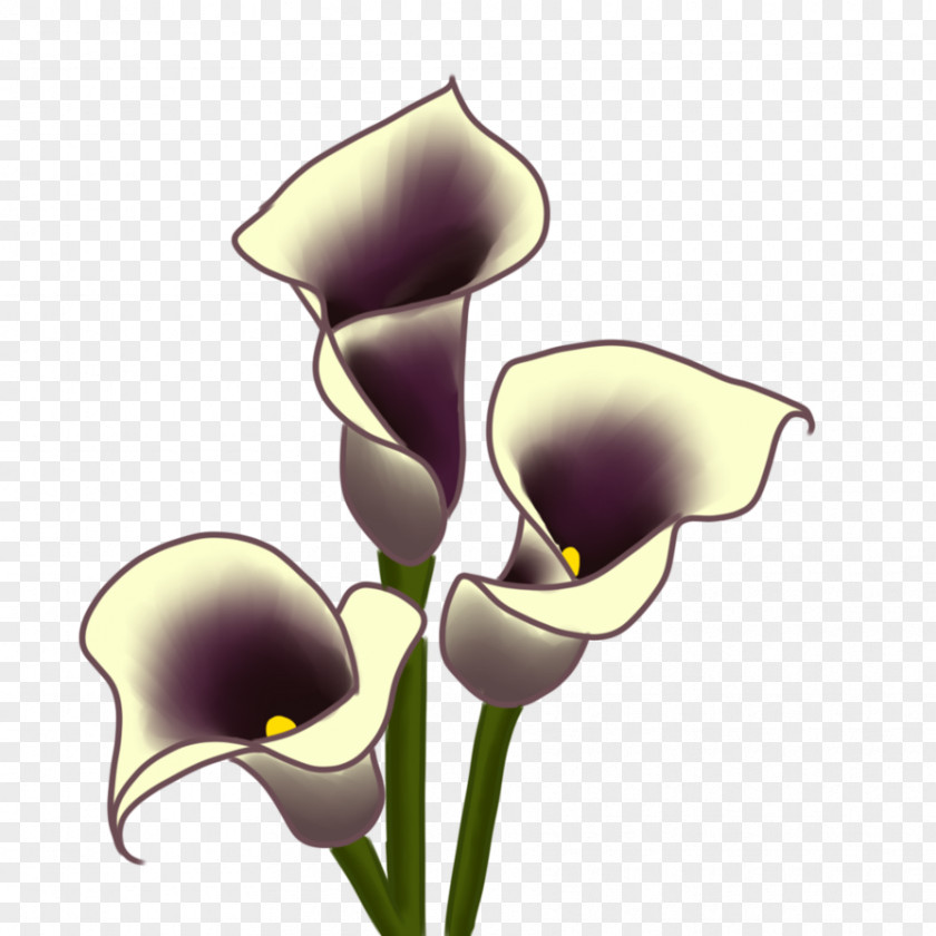 Moth Orchids Cut Flowers Plant Stem Clip Art PNG