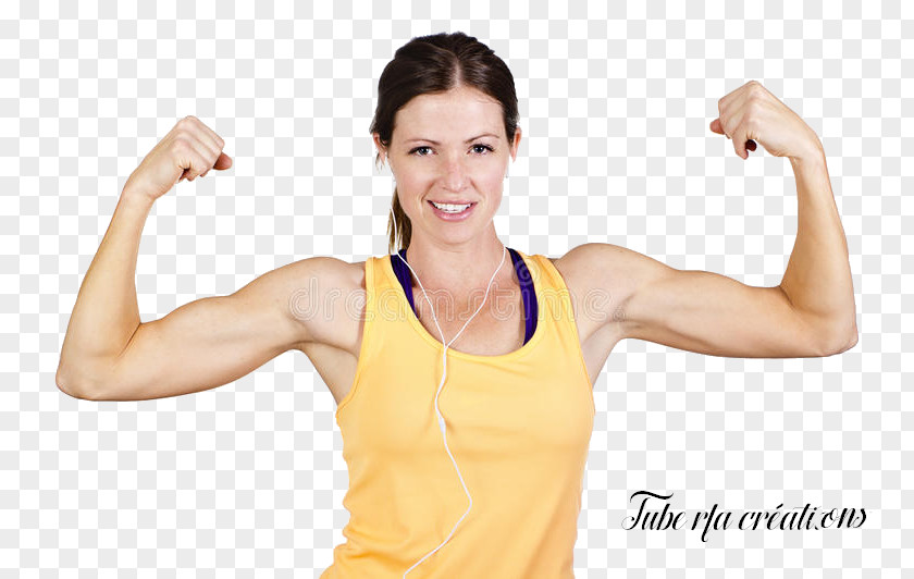 Arm Stock Photography Biceps Muscle PNG