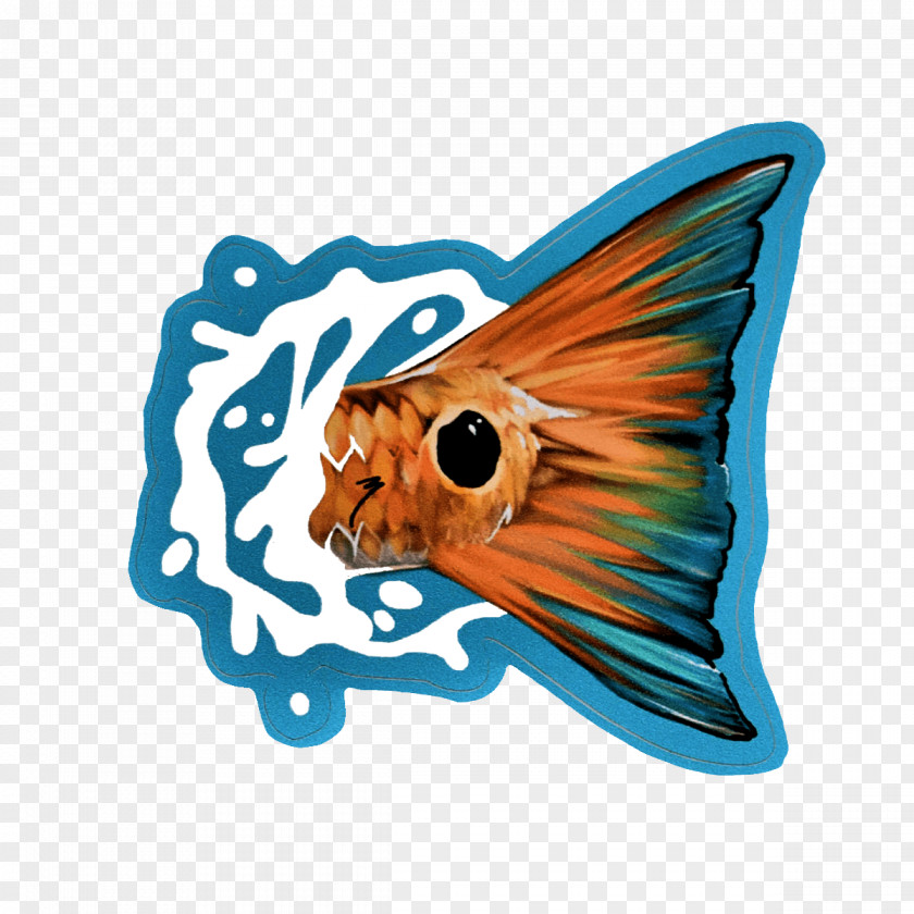 Fishing Sticker Decal Red Drum Fly PNG