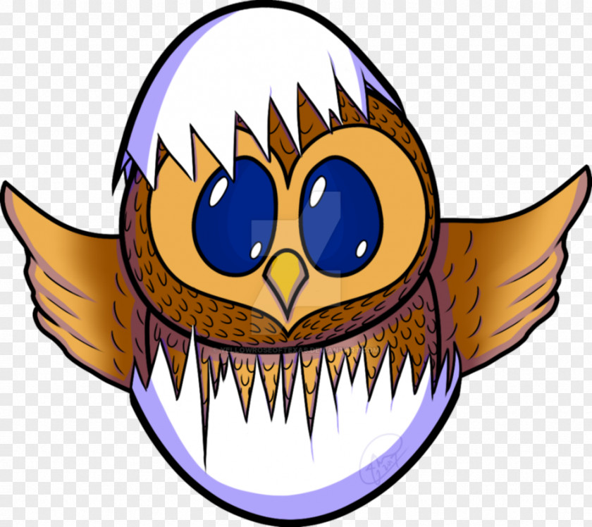 Owl Beak Bird Clip Art Illustration PNG