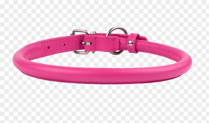 Puppy Dog Collar Leather PNG
