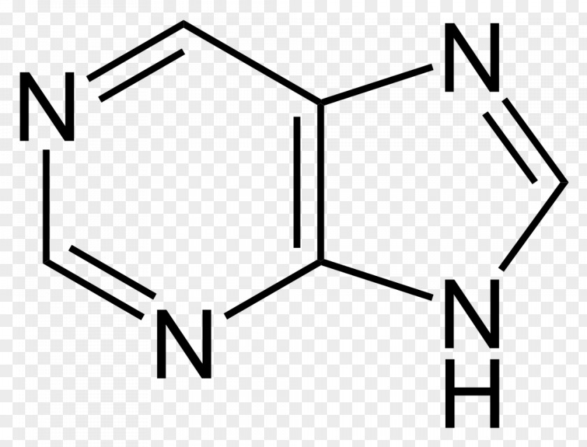 Purine Chemical Compound Chemistry Alkaloid Pyrimidine PNG compound Pyrimidine, urinary clipart PNG