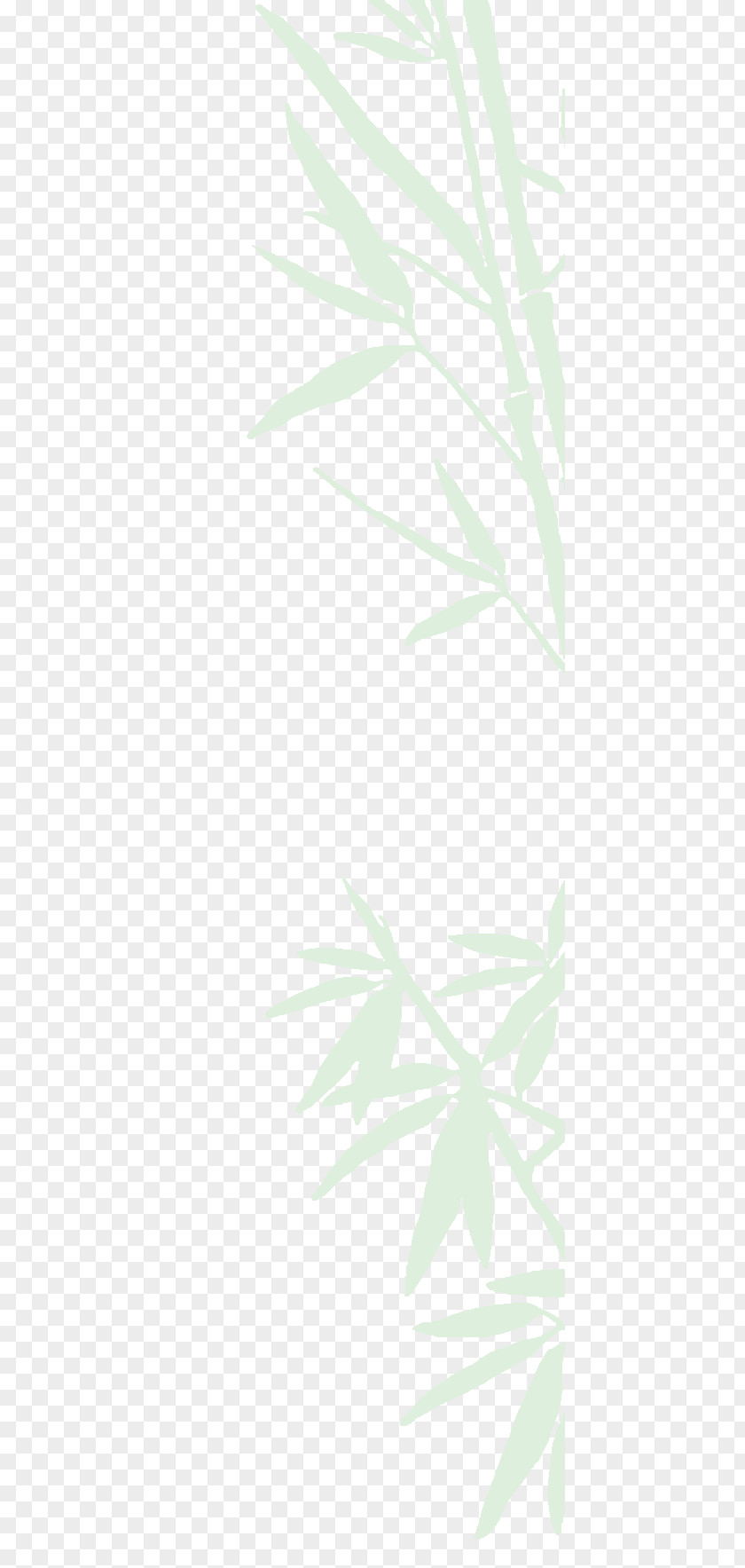 Bamboo Salon Green Desktop Wallpaper Line Angle Pattern PNG