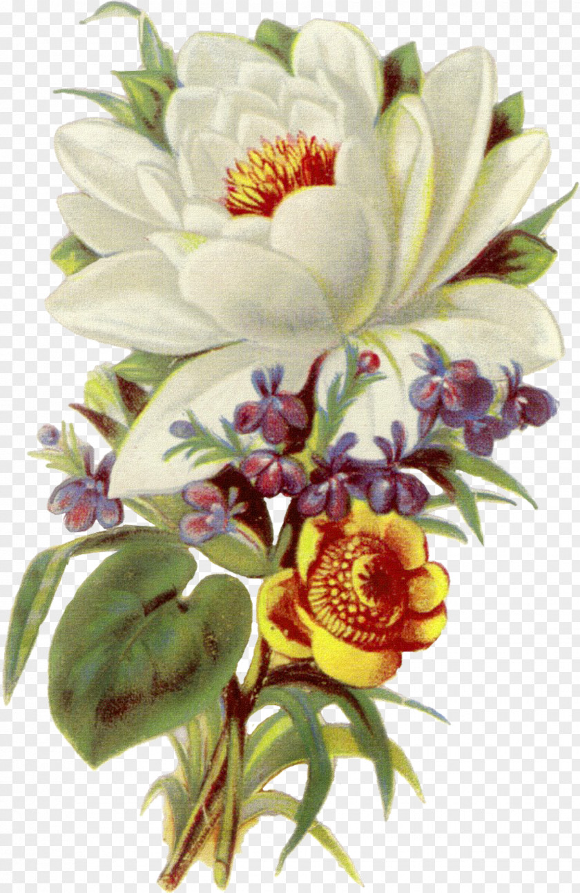 Botanical Flower Bouquet Floral Design Clip Art PNG