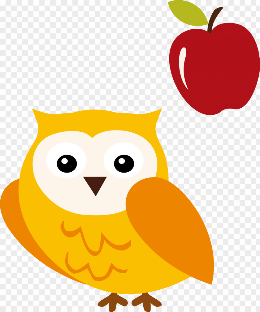 Owl Vector Illustration PNG