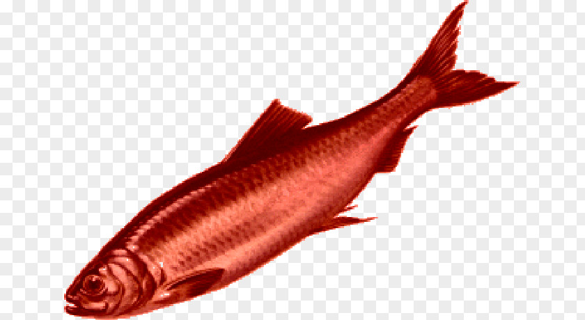 Red Herring TV Tropes Fish Idiom PNG