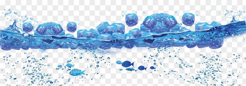 The Effect Of Water Seawater PNG