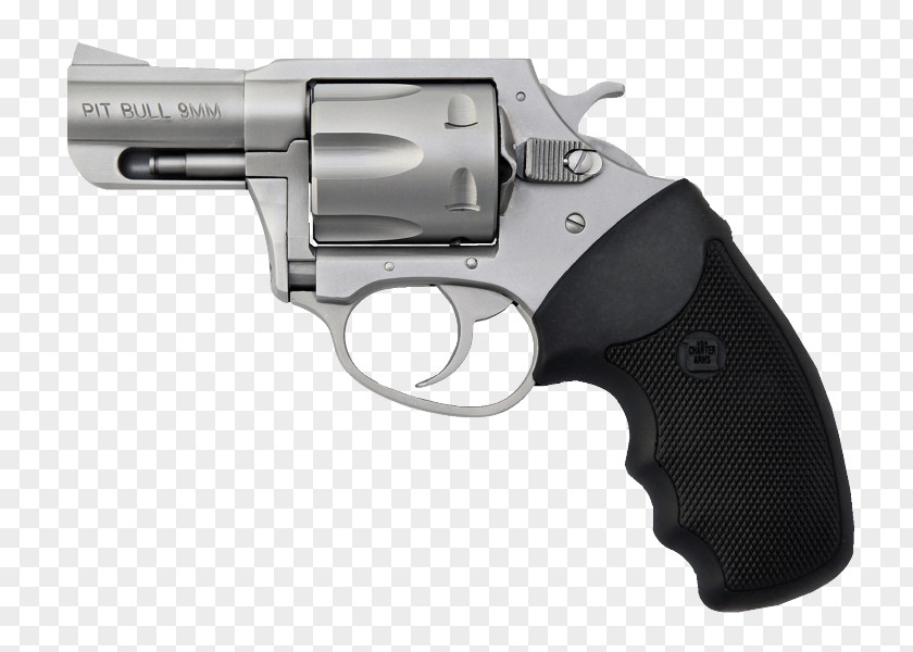 Weapon .357 Magnum Charter Arms Firearm Revolver Cartuccia PNG