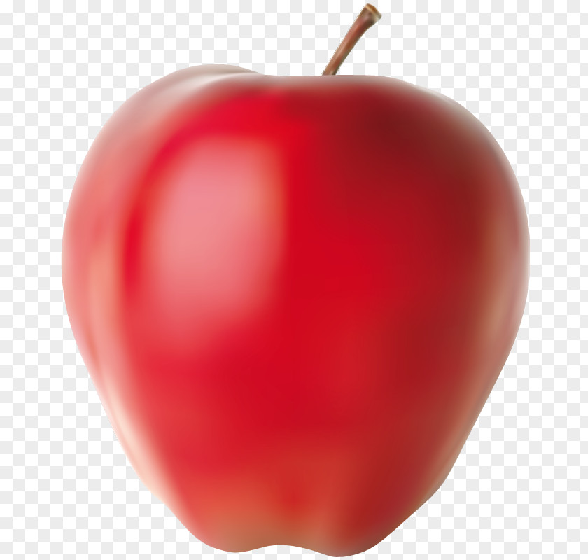 Apple McIntosh Red Fond Blanc Image Food PNG