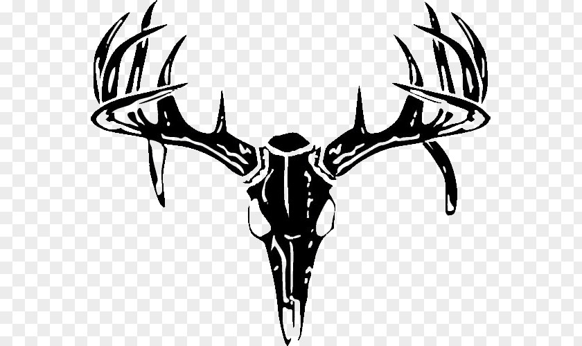 Deer White-tailed Decal Sticker Hunting PNG