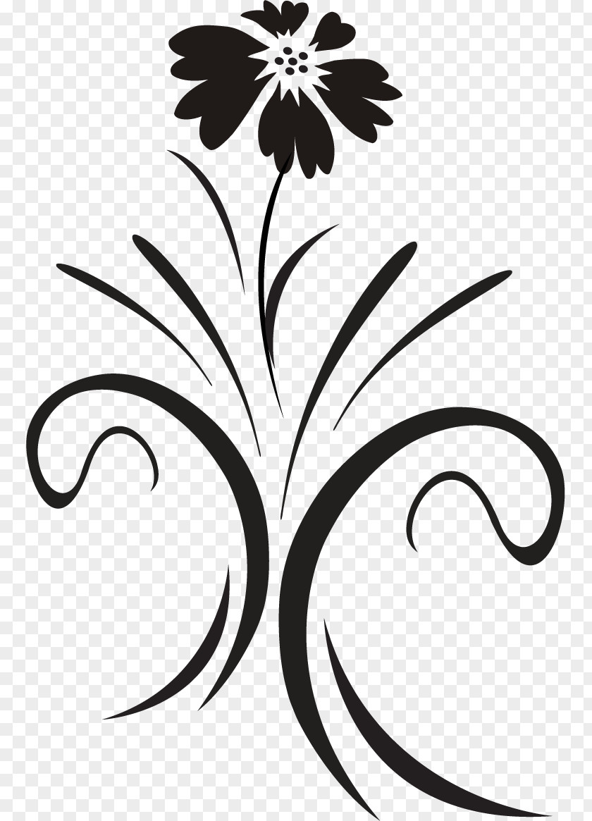 Hand-painted Plants Floral Design Black And White Ornamental Plant Graphics PNG