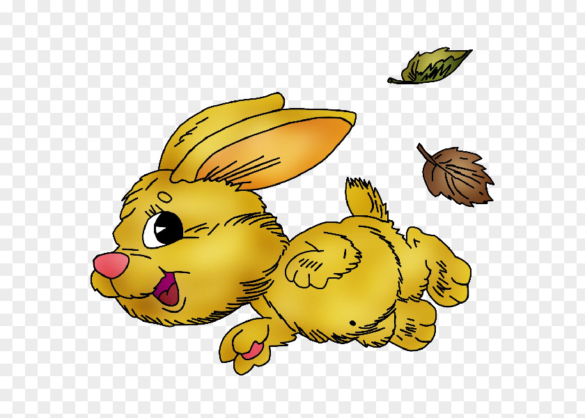 Insect Hare Pollinator Clip Art PNG