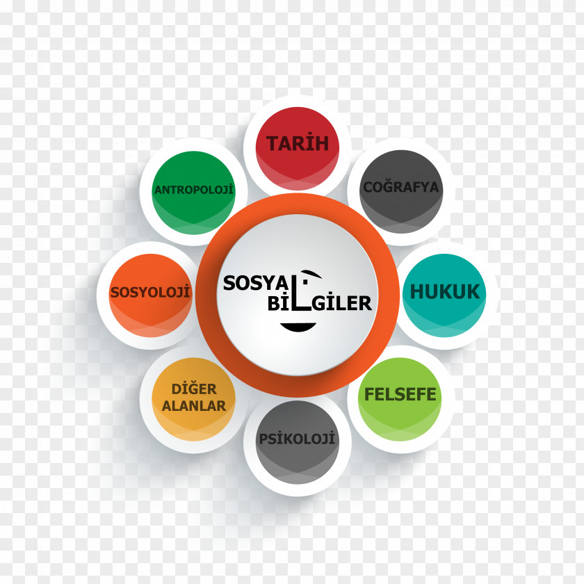 Sosyal Search Engine Optimization Website Development Company Service PNG