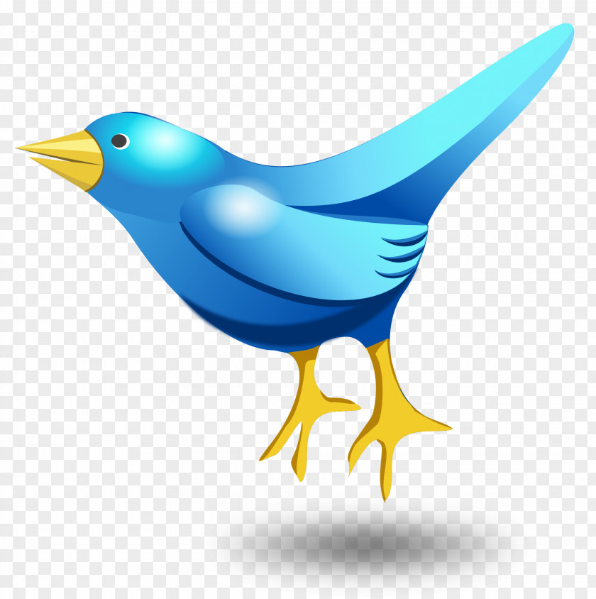 Twitter Tweet Bird Vector Clip Art PNG