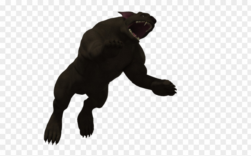 Gorilla Dog Canidae Mammal Ape PNG