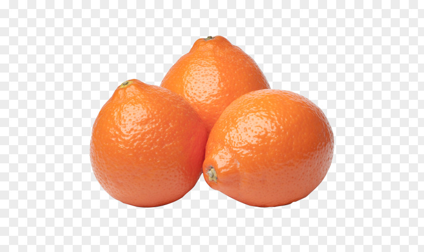 Grapefruit Clementine Tangerine Mandarin Orange Tangelo PNG