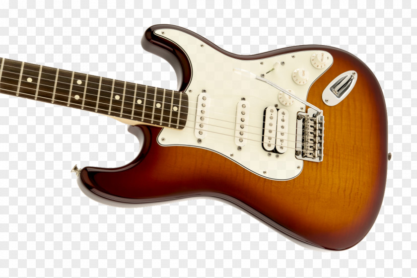 Guitar Fender Stratocaster Standard Squier Sunburst Fingerboard PNG