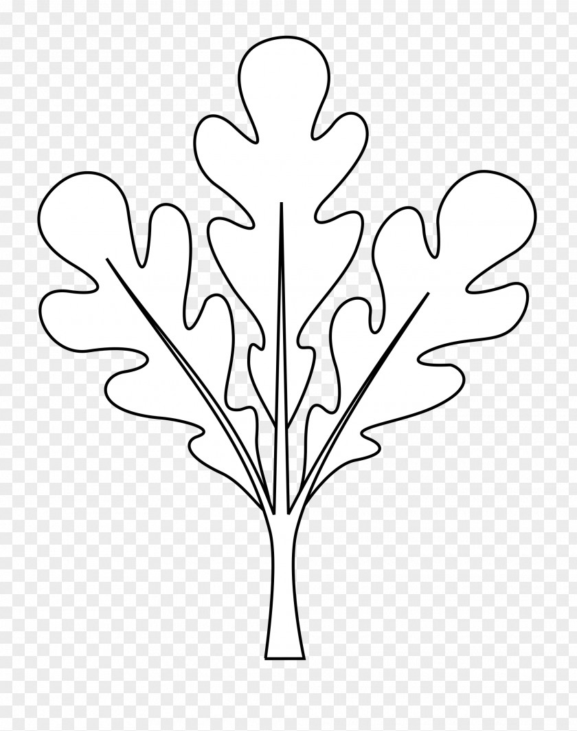 Plane Blackandwhite Oak Tree Leaf PNG