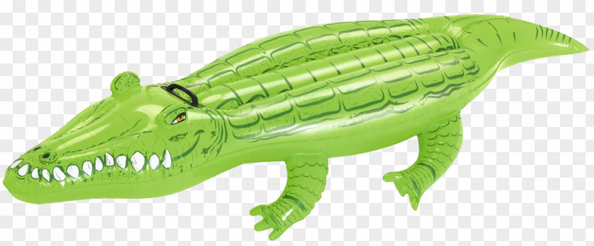 Pool Inflatables Crocodile Inflatable Amazon.com Turtle Swimming PNG