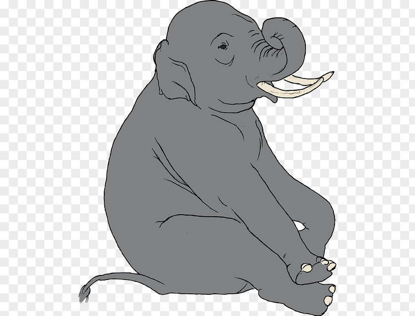 Shoulder Press Asian Elephant Elephantidae Clip Art PNG