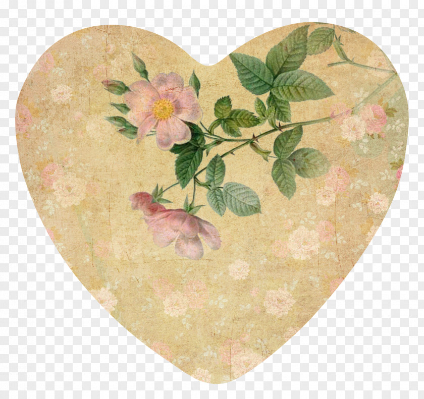 Valentine Card Art Valentine's Day Botanical Illustration Still Life Paper PNG