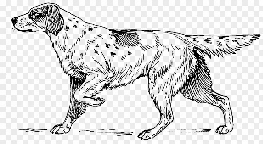 Puppy Great Dane Dachshund Greyhound Boxer PNG