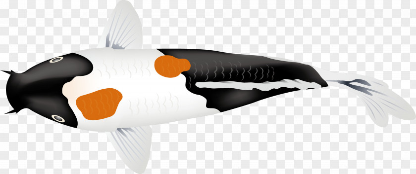 Adidas Superstar Illustration Koi Carp Fish PNG