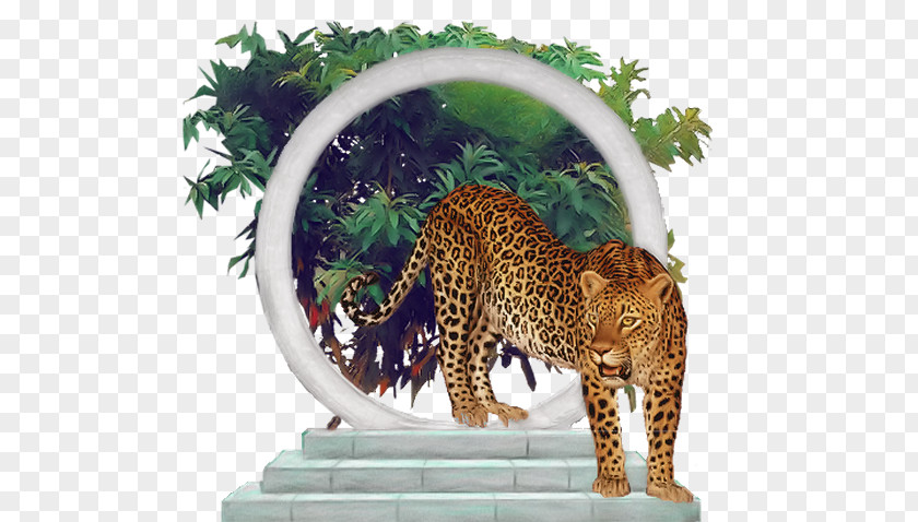 Leopard Felidae Jaguar Blog Cheetah PNG