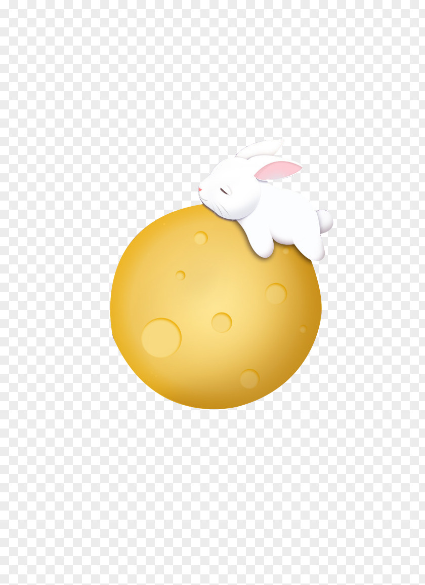 Rabbit On The Moon Change PNG