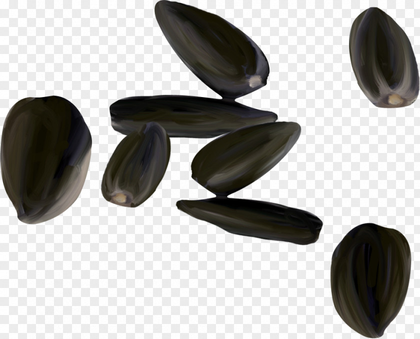 Sunflower Seed Canon EOS 5D Mark II Clip Art PNG