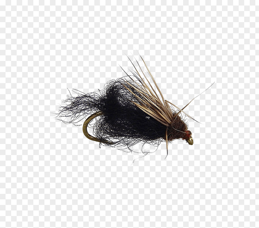 Fly Artificial Holly Flies Fishing Emergers PNG