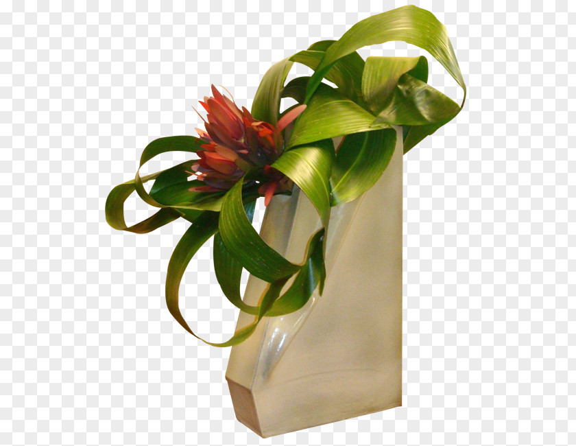 Soho Floral Design Cut Flowers Flowerpot PNG