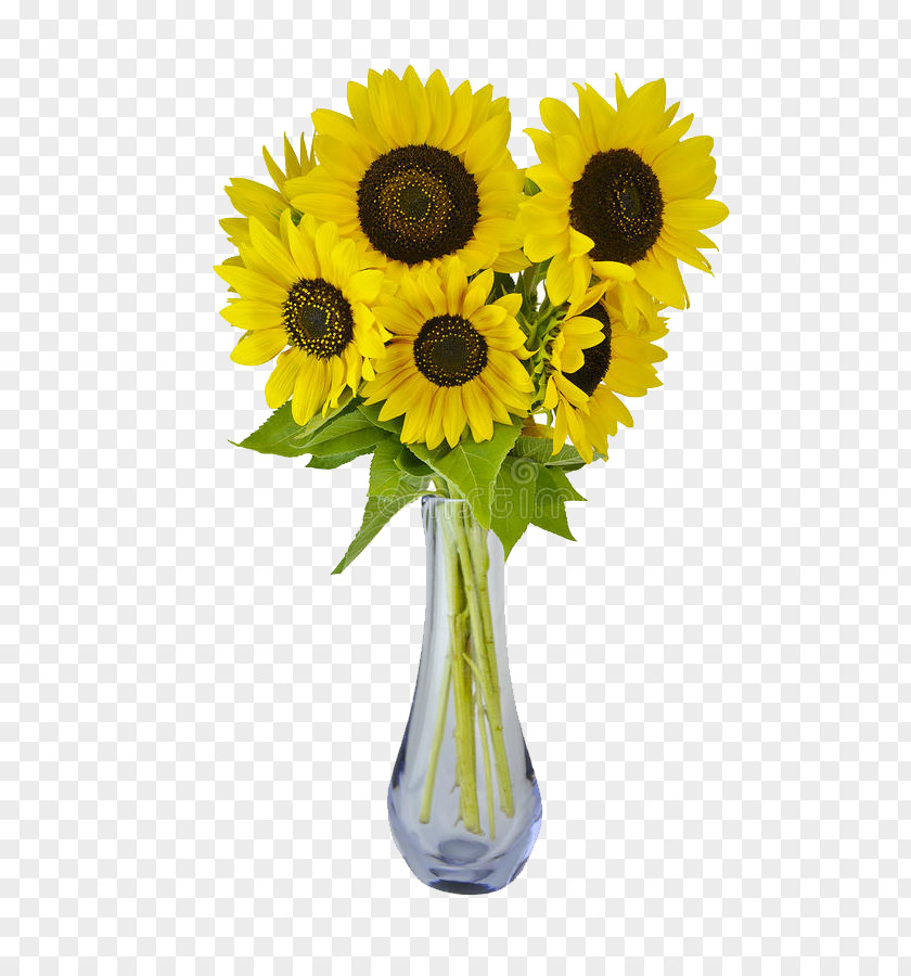 Vase Bouquet Flower Image Drawing PNG