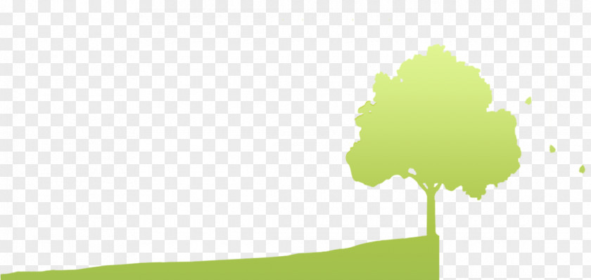 Plum Energy Desktop Wallpaper Leaf Tree Sky PNG