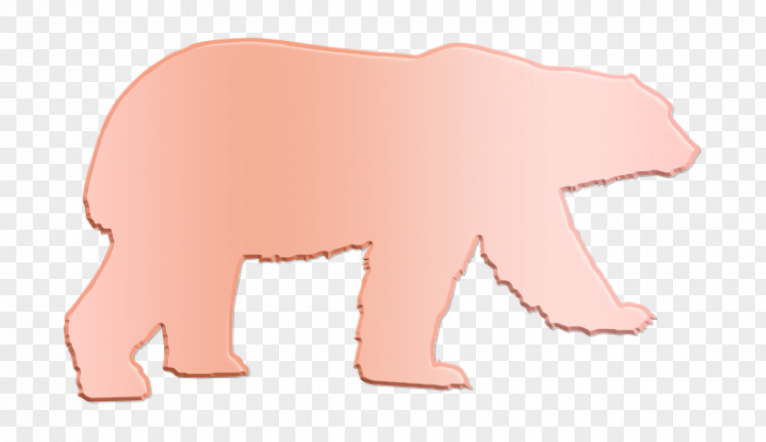 Animal Kingdom Icon Bear Animals PNG