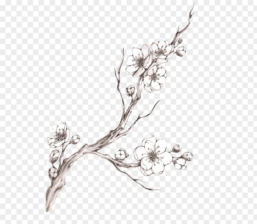 Cherry Blossom Watercolor Tattoo Drawing PNG