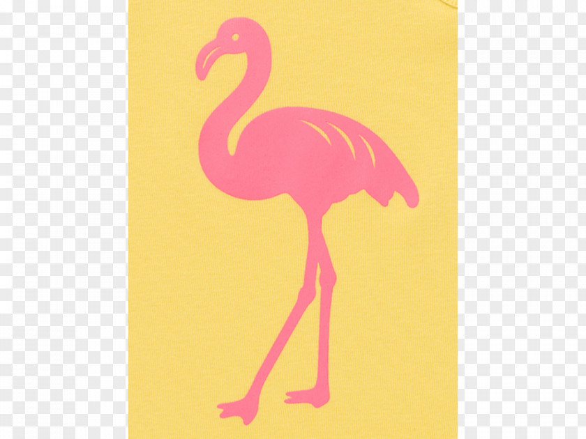 Flamingo Watercolor Pink M Beak Feather PNG