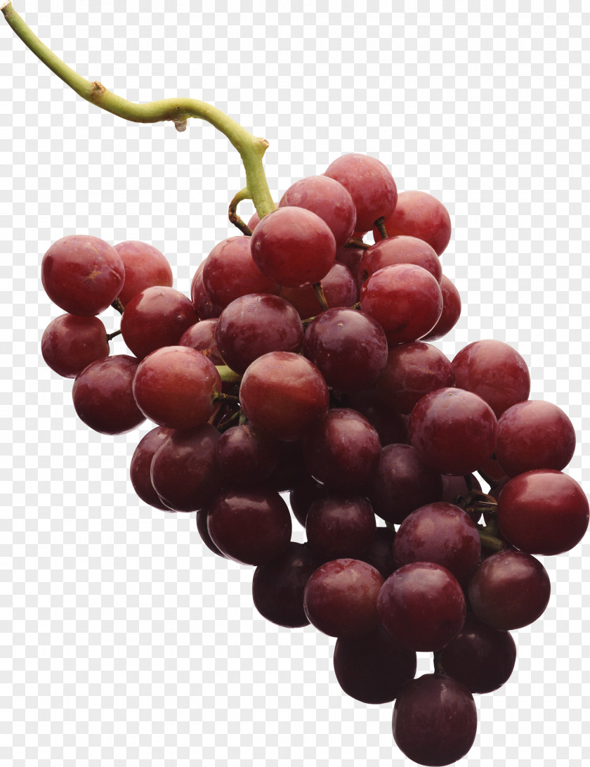 Grape Image Red Wine Shiraz PNG