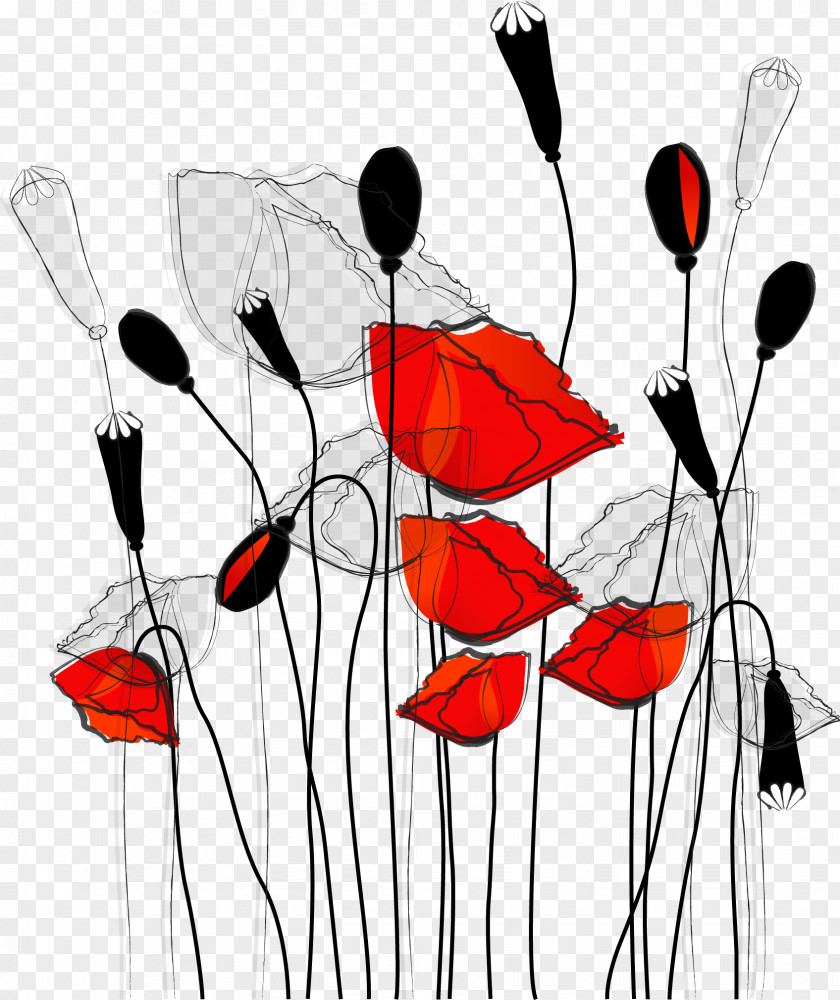 Line Poppy Illustration Common Curtain Flower Wallpaper PNG